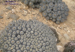 P1018306