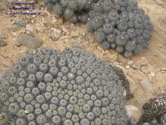 P1018306