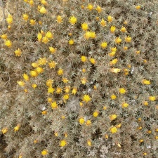 P1018308