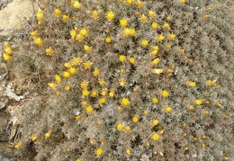 P1018308