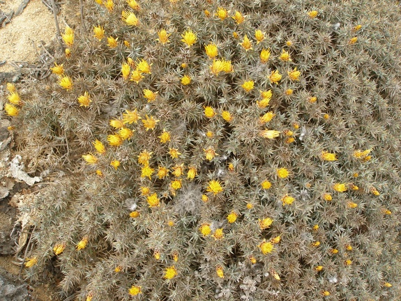 P1018308