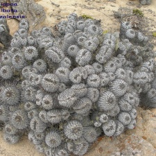 P1018311