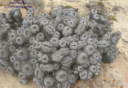 P1018311