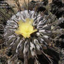 P1018313