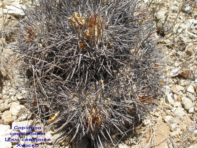 P1018318
