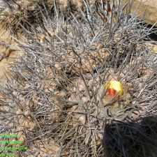 P1018319