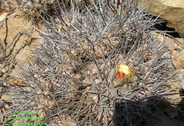 P1018319