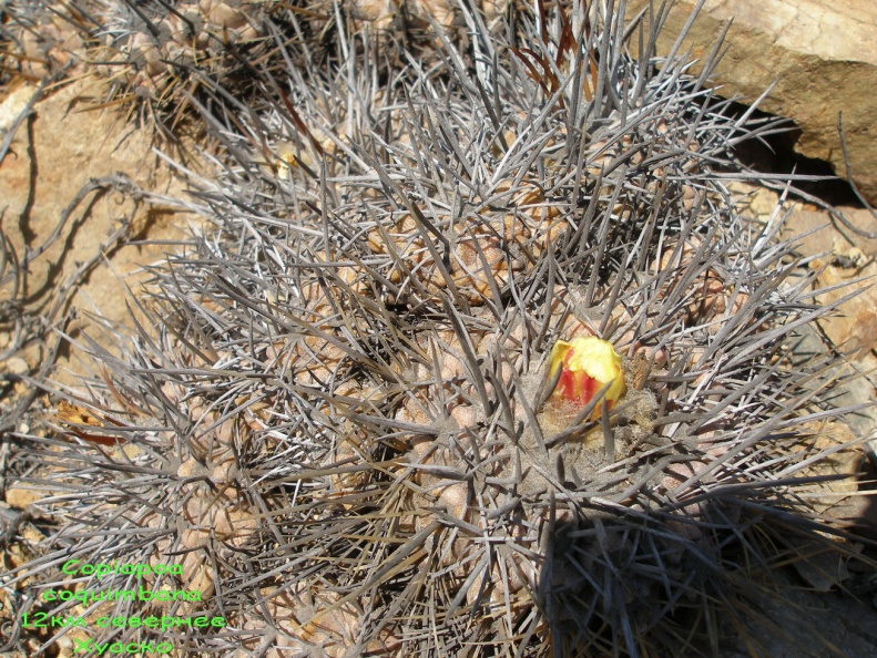 P1018319
