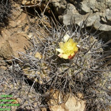 P1018320