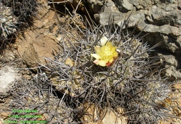 P1018320