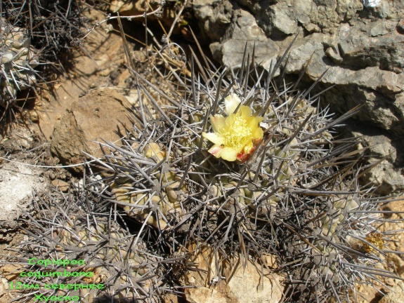 P1018320