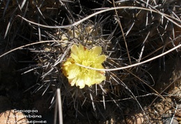 P1018321