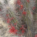 P1018335