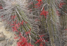 P1018335