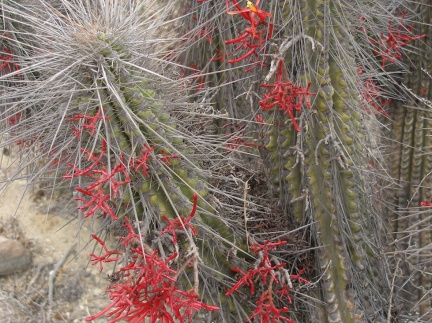 P1018335