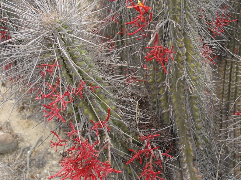 P1018335