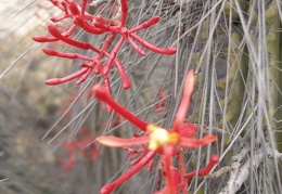 P1018336