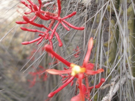 P1018336
