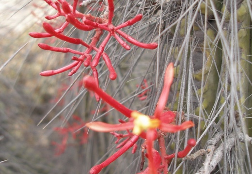 P1018336
