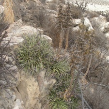 P1018338