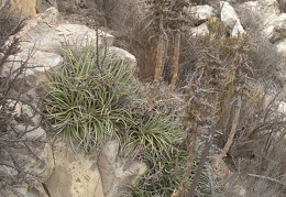 P1018338