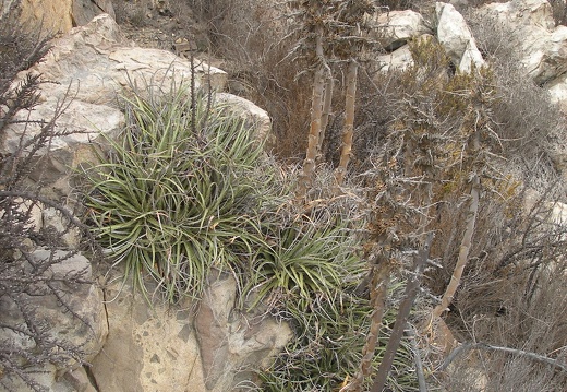 P1018338