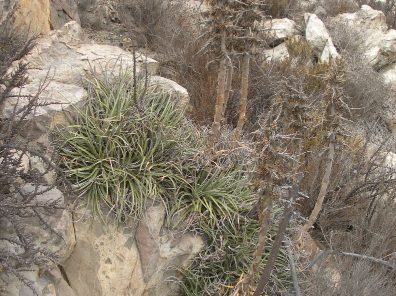 P1018338