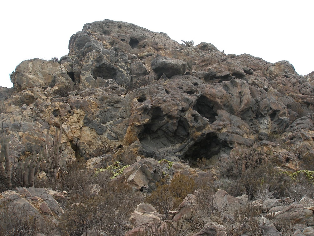 P1018339