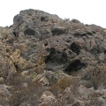 P1018339