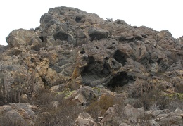 P1018339