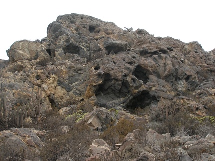 P1018339