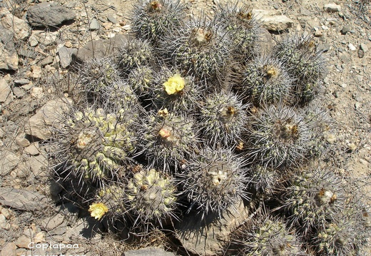 P1018340
