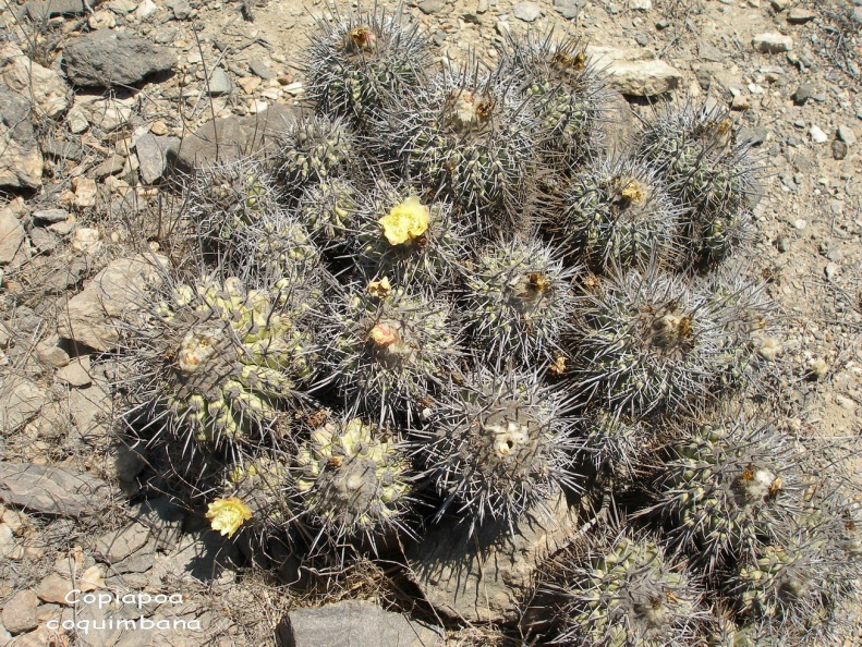 P1018340