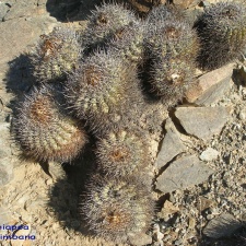 P1018343
