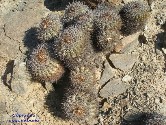 P1018343