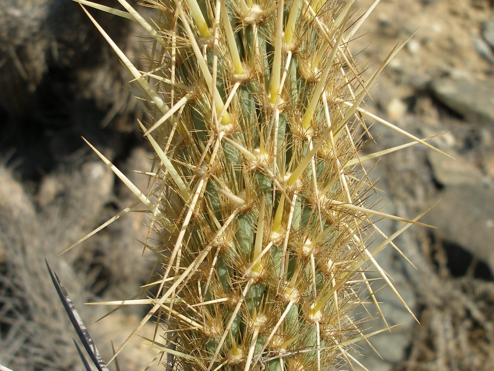P1018349