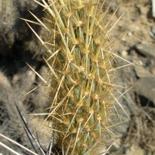 P1018349