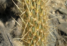 P1018349