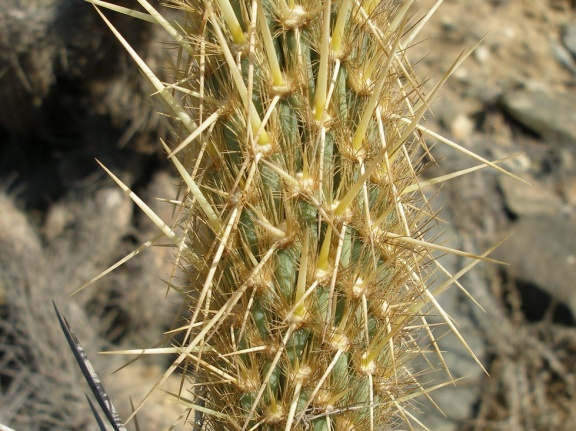 P1018349