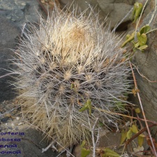 P1018358