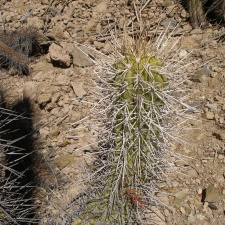 P1018362