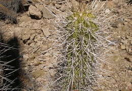P1018362