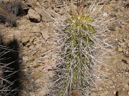 P1018362