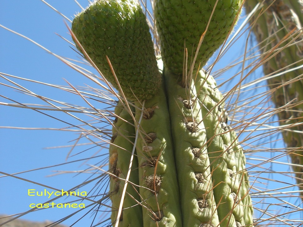 P1018364