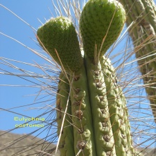 P1018364