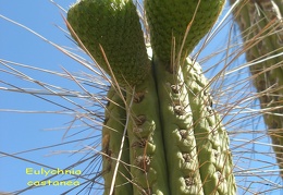 P1018364