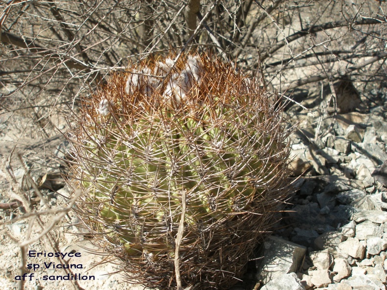 P1018367