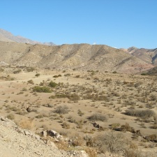 P1018370