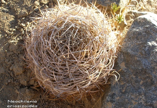 P1018374