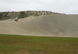 P1018388